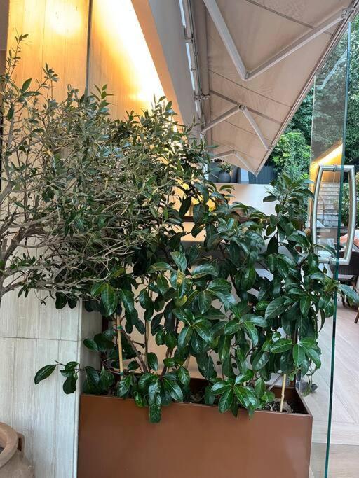 Ksenokratous-Kolonaki Cozy Apartment Атина Екстериор снимка